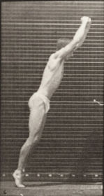 Plate 161 Jumping, standing high jump — figure reference